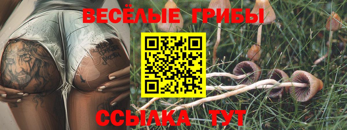 Галлюциногенные грибы ЛСД Тихвин