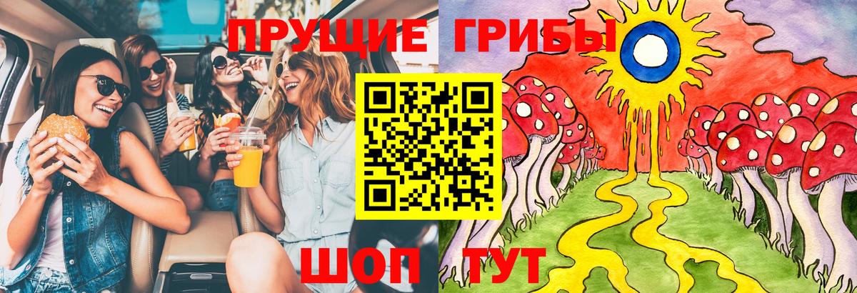 как найти наркотики  Псилоцибиновые грибы Cubensis  Вход с VPN  Псилоцибиновые грибы мицелий  Тихвин 